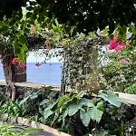 Holiday home Bela Vigia Jardim do Mar