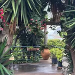 Bela Vigia * Jardim do Mar