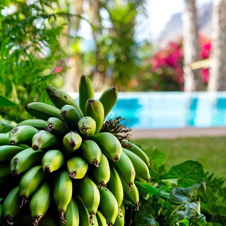 Bela Vigia 자르딤 도 마르