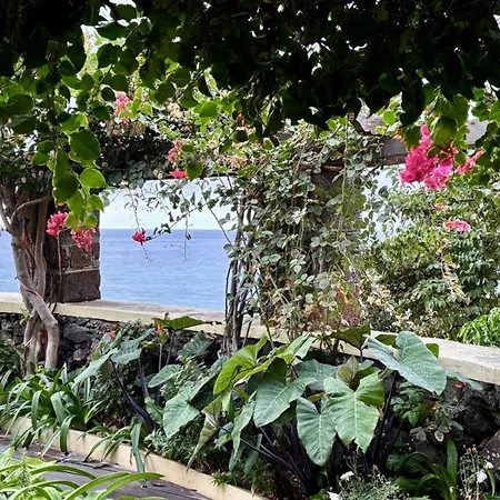 Prázdninový dům Bela Vigia Jardim do Mar
