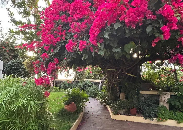 Bela Vigia Casa vacanze *