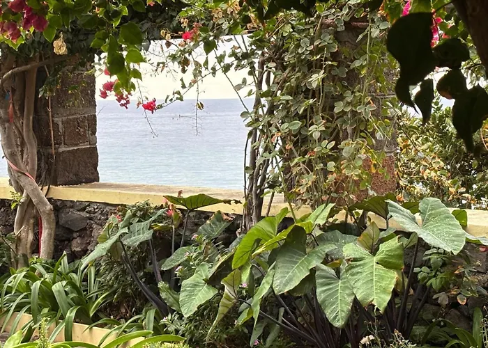 Bela Vigia Jardim do Mar