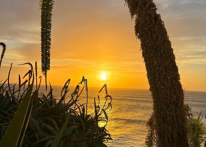 Bela Vigia * Jardim do Mar