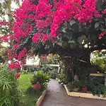 Bela Vigia Сasa de vacaciones Jardim do Mar