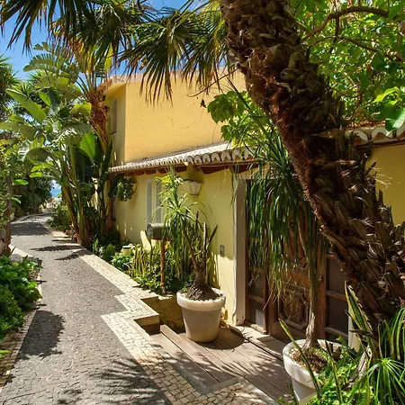 Bela Vigia Jardim do Mar