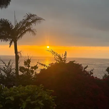 Bela Vigia Jardim do Mar