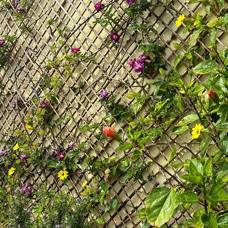 Hébergement de vacances Bela Vigia