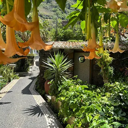 Σπίτι διακοπών Bela Vigia Jardim do Mar