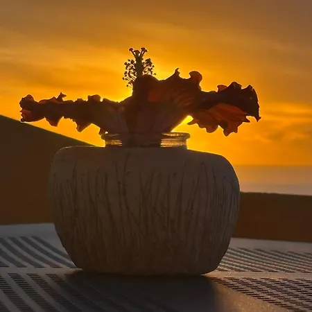 Bela Vigia Jardim do Mar