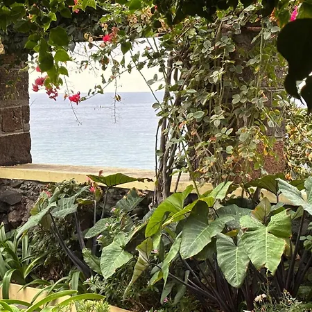 Bela Vigia Jardim do Mar