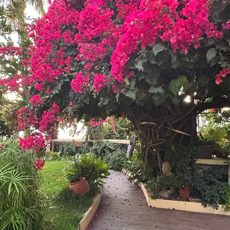 Bela Vigia Σπίτι διακοπών Jardim do Mar