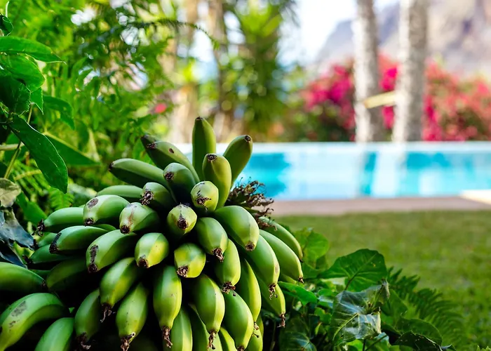 Bela Vigia Jardim do Mar