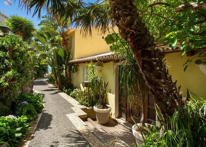 Bela Vigia Jardim do Mar