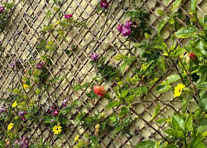 Dom wakacyjny Bela Vigia